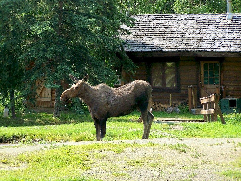 Chena Hot Springs Resort Фербанкс Екстер'єр фото