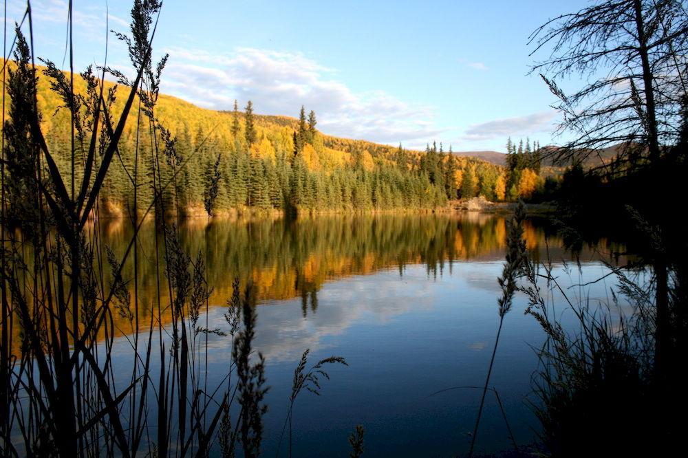 Chena Hot Springs Resort Фербанкс Екстер'єр фото