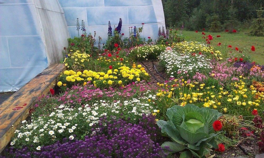Chena Hot Springs Resort Фербанкс Екстер'єр фото